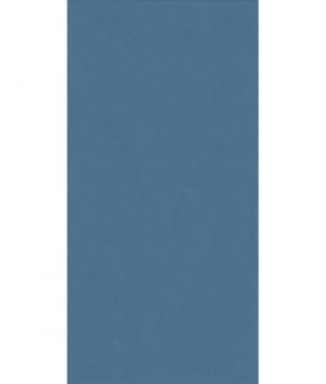 КЕРАМИЧЕСКАЯ ПЛИТКА WIDE&STYLE MINI WHALE RET 60Х120