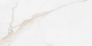 DIAMOND GOLD PULIDO 60X120X10.5