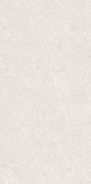 BERGSTEIN LIGHT MATT 60X120 ARTECH