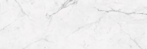 ESTATUARIO POLISHED 100X300X5,6