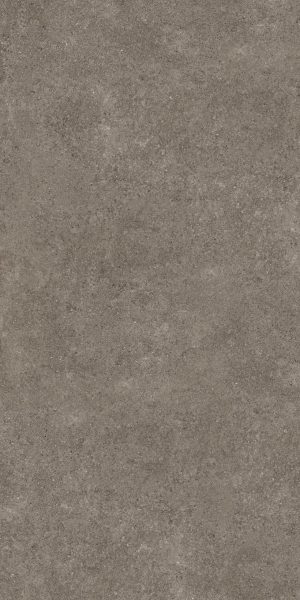 PORFIDO BROWN 60X120 5,6