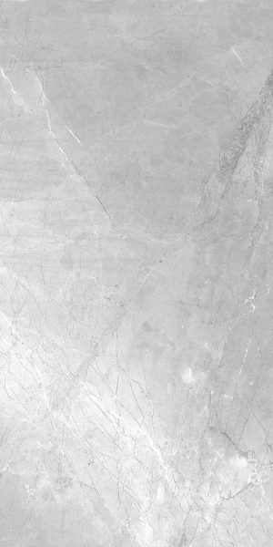 КЕРАМОГРАНИТ REALISTIK АСТИ СЕРЫЙ МАТОВЫЙ КАРВИНГ 60X120 (1,44)