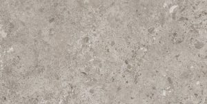 BIERZO GRIS SEDA 60X120