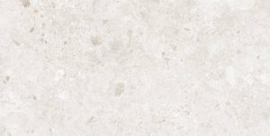 BIERZO PERLA SEDA 60X120