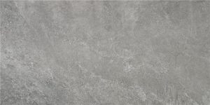 INDIC GREY MT 60X120 NANOTECH RECT.