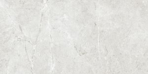 PALERMO GRIS  60X120X9 REC.