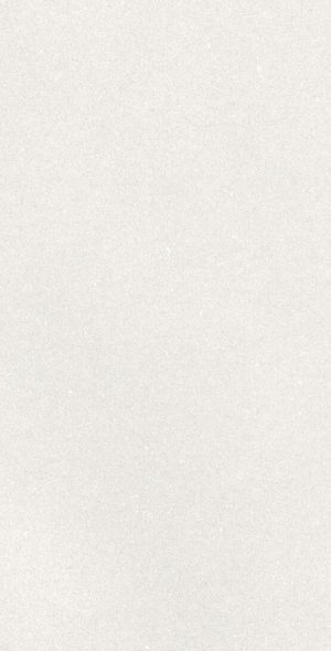 CAPRICE WHITE RECT 60X120