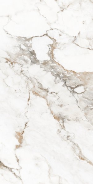 КЕРАМИЧЕСКАЯ ПЛИТКА 60*120 CALACATTA BRISCO CARVING R (Х)