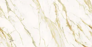 ПЛИТКА КЕРАМОГРАНИТНАЯ AZARIO КАЛАКАТТА РОЯЛ ГОЛД 60X120 КАРВИНГ (H18004004G)