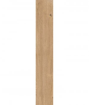 КЕРАМОГРАНИТ 4 SEASONS HONEY NAT R20X120